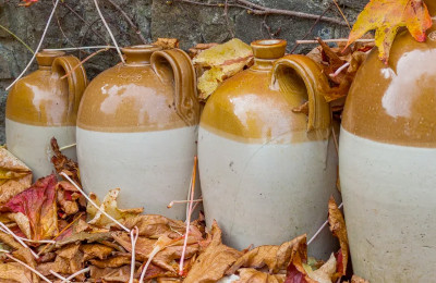 Corn whiskey jugs